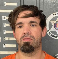 mugshot of BRADLEY  ROGERS