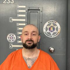 mugshot of GLENN  TEDDER