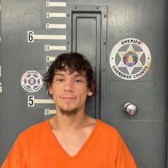 mugshot of LEVI  WIGLEY