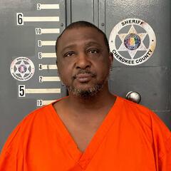 mugshot of DAVID  WATSON