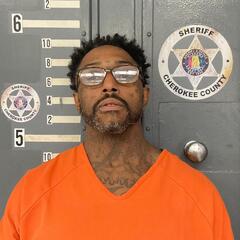 mugshot of DEVORIEN  MCFARLIN