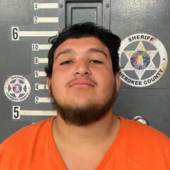 mugshot of ELPIDIO  BARBOZA