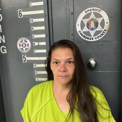 mugshot of AMANDA  KELLY