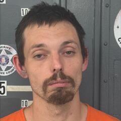 mugshot of NICHOLAS  PANNELL