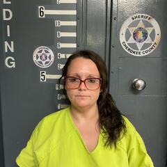 mugshot of ASHLEY  SMITH