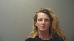 mugshot of SHANNON  WOOD