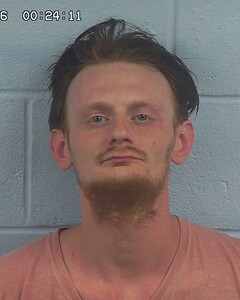mugshot of JAMES  MILLS