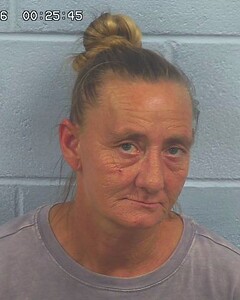 mugshot of KIMBERLY  REED