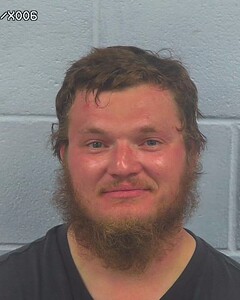 mugshot of BLAKE  HAMILTON