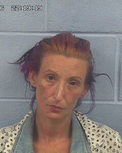mugshot of BRANDY  WILLIAMS