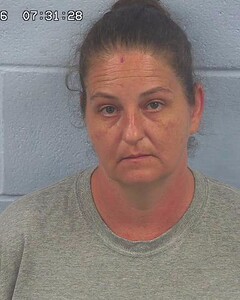 mugshot of PAMELA  MULLINS