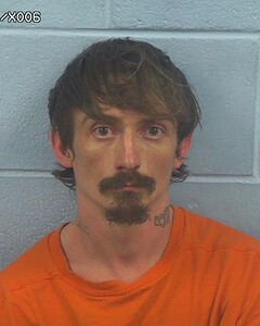 mugshot of JAMES  PARKERSON