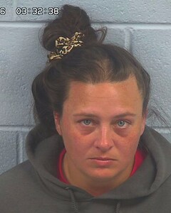 mugshot of THERESA  RIVERA-ROSARIO