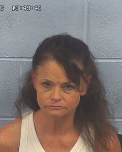 mugshot of DANA  TERRY