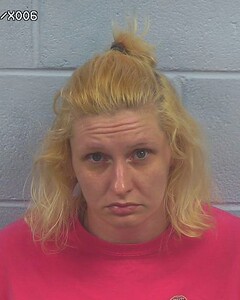 mugshot of ASHLEY  HUDGINS-STRANGE