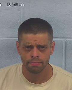 mugshot of TREVOR  SIMS