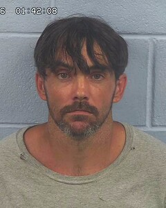 mugshot of JAMES  BURNS