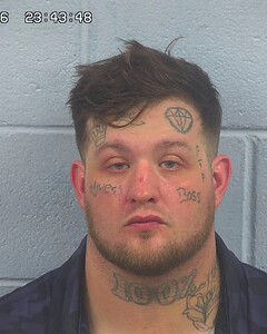 mugshot of MARK  WHISENANT