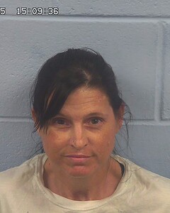 mugshot of STACY  HANSON