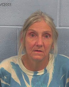 mugshot of TINA  MACADAM