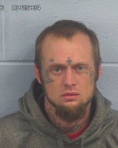 mugshot of COLTON  WORKS