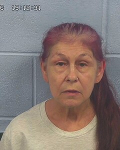 mugshot of FELECIA  PARKER
