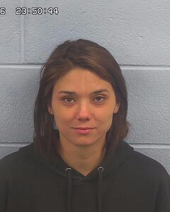 mugshot of DALLAS  LEE