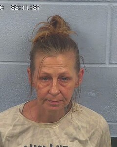 mugshot of MELISSA  RIDDLESPUR