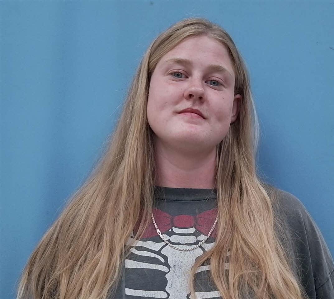 mugshot of KRISA  MCGILLARD