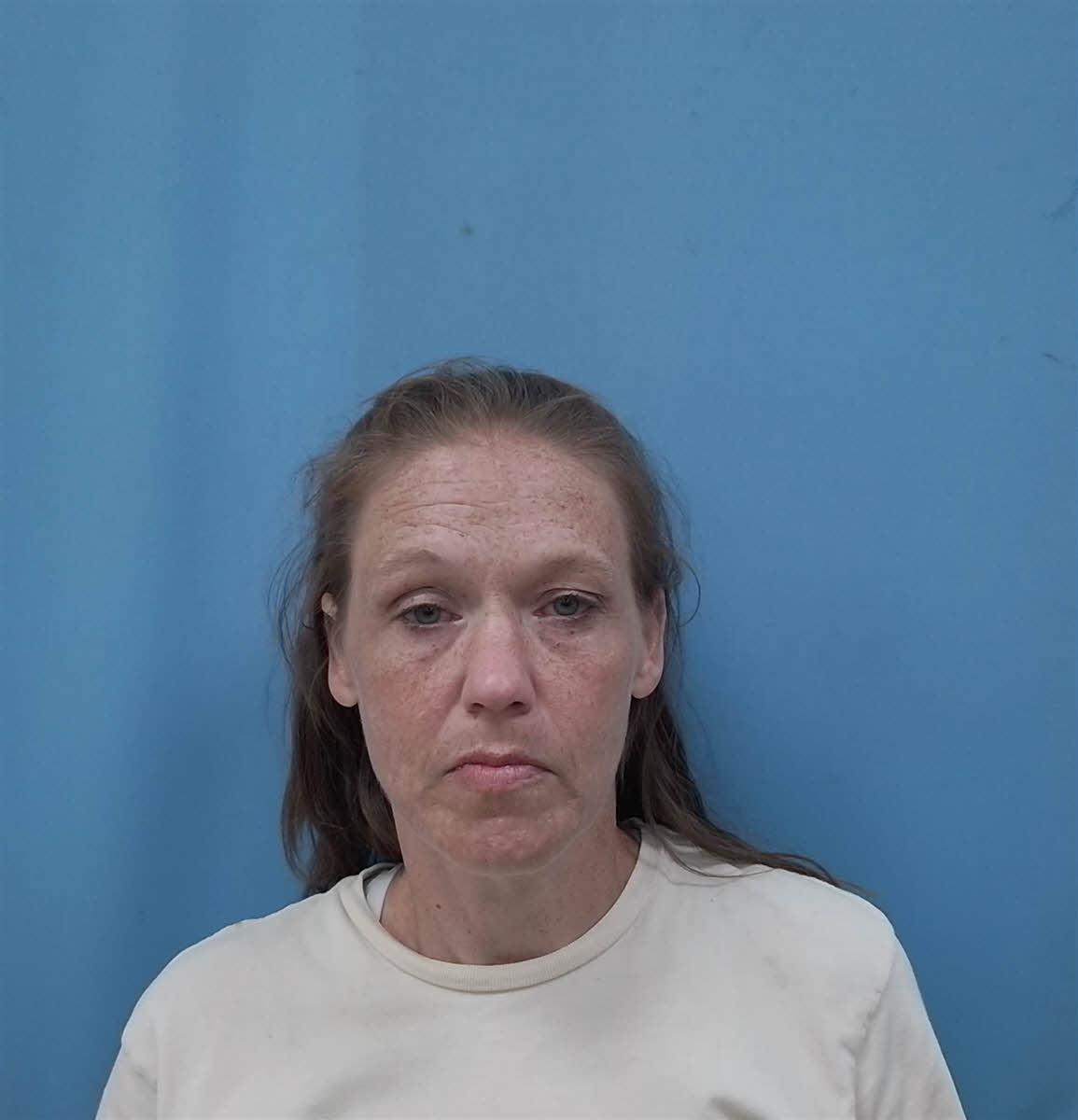 mugshot of KIMBERLY  TYER