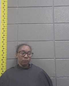 mugshot of DANQUASHA  HAMPTON