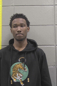 mugshot of DRALYN  TERRELL