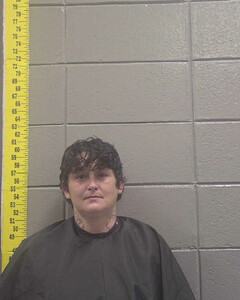 mugshot of JULIE  LANHAM