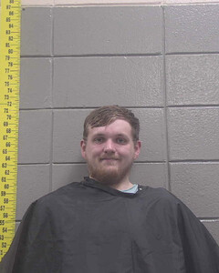 mugshot of DALE  EAKES
