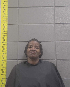 mugshot of BARBARA  LEWIS