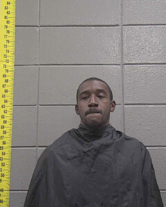 mugshot of TERRANCE  NAYLOR