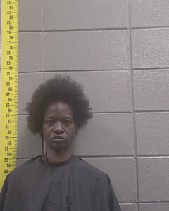 mugshot of LETITIA  ROBERTS