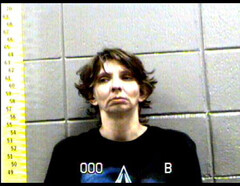 mugshot of BRANDY  STALLINGS