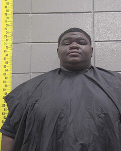 mugshot of RODNEY  BELL