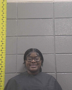mugshot of SHALISA  BLANKS