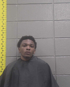 mugshot of CHAMARION  NAYLOR