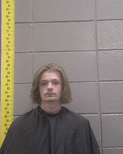 mugshot of BRAISON  HARRIS