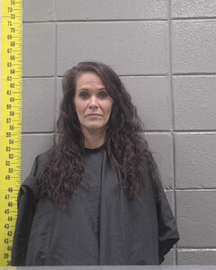 mugshot of LACEY  LEWIS