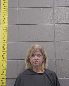 mugshot of STACY  ROBINSON