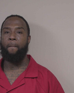 mugshot of DAVID  ADAMS