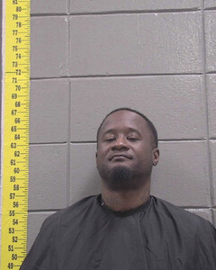 mugshot of LADARREN  SIMS