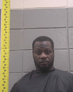 mugshot of MARTIN  WALKER