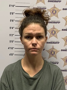 mugshot of JAMIE M CHEATHAM