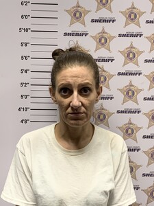 mugshot of JESSICA SKYE WEST