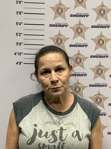 mugshot of MARY LOUISE AMERSON